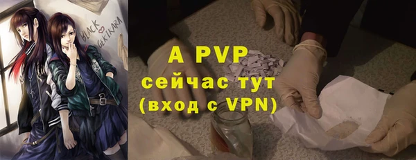 стафф Ладушкин