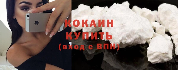 стафф Ладушкин