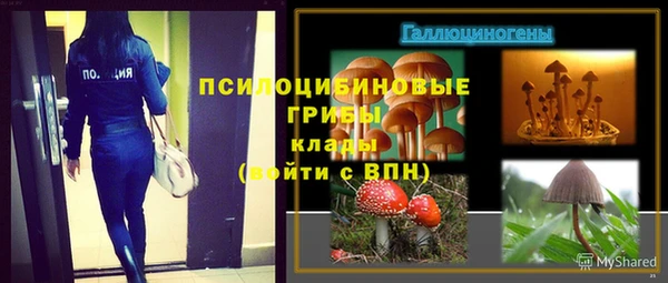 стафф Ладушкин