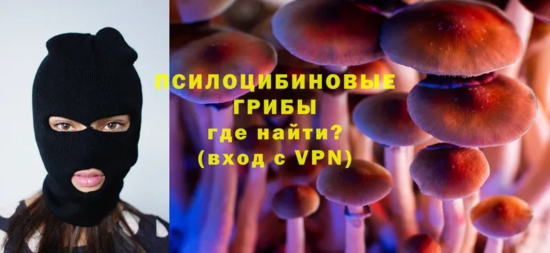 Псилоцибиновые грибы MAGIC MUSHROOMS  где продают   Зеленоградск 