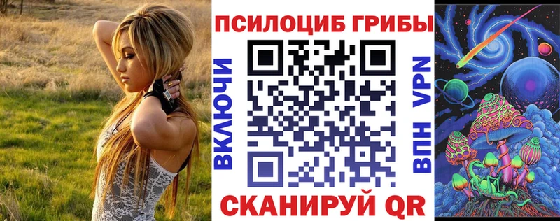 Псилоцибиновые грибы GOLDEN TEACHER  Зеленоградск 